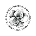 Magnolia