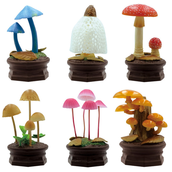 Mushroom Garden Blind Box