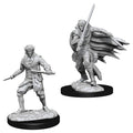 Pathfinder: Deep Cuts Minis: Male Elf Rogue W10