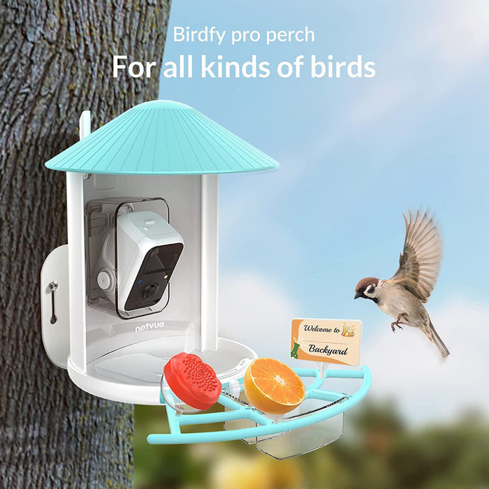Perchoir à oiseuax Birdfy Pro