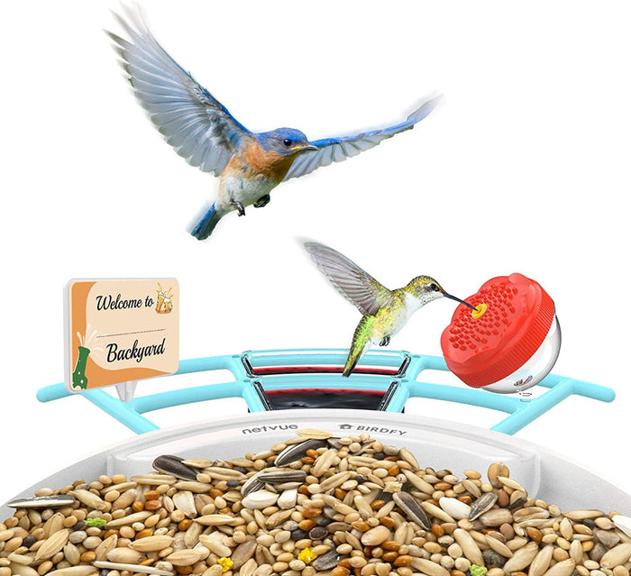 Perchoir à oiseuax Birdfy Pro