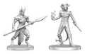 PF DC: Vordine & Pitborn Rogue
