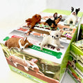 Playful Dog Mystery Box