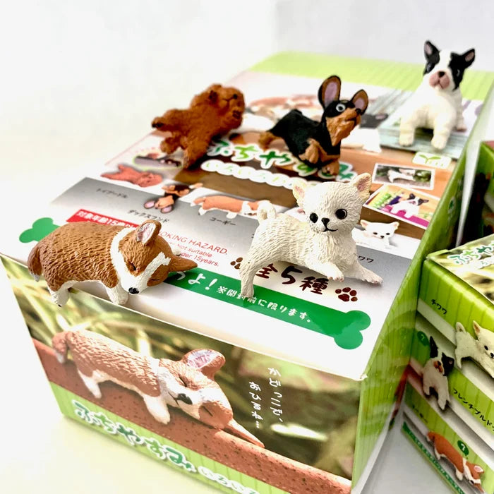 Playful Dog Mystery Box