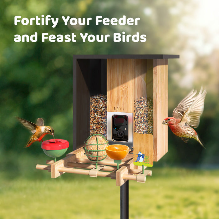 Protection métallique pour graines et accessoires pour mangeoire Birdfy en bambou