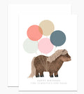 Shetland Pony Birthday Card
